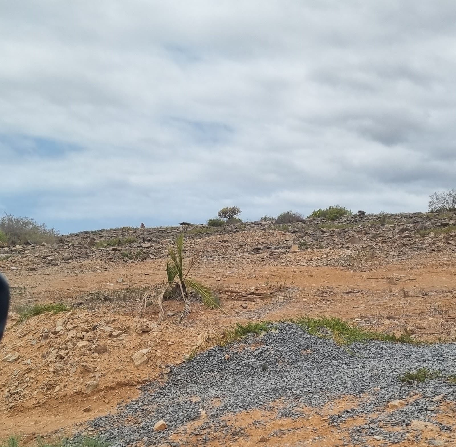 Fataga Gran Canaria - Image 1