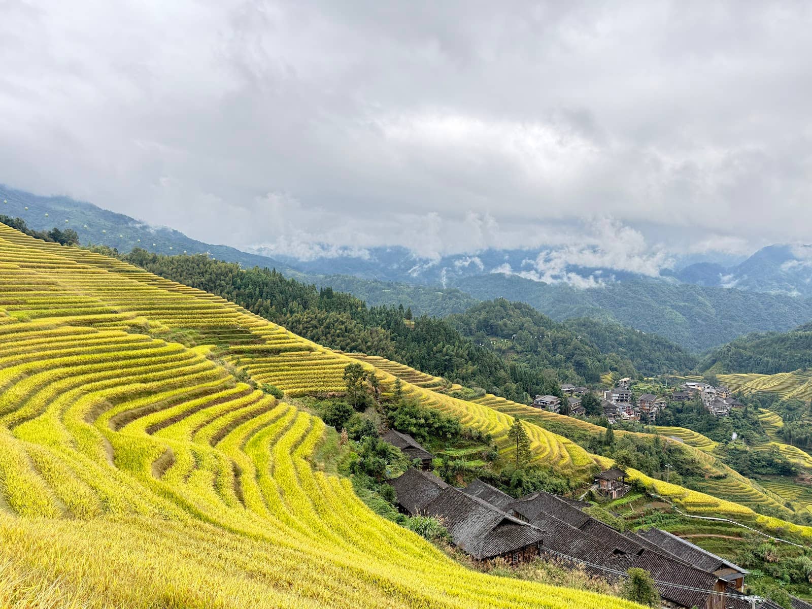 West Hill Music Viewpoint