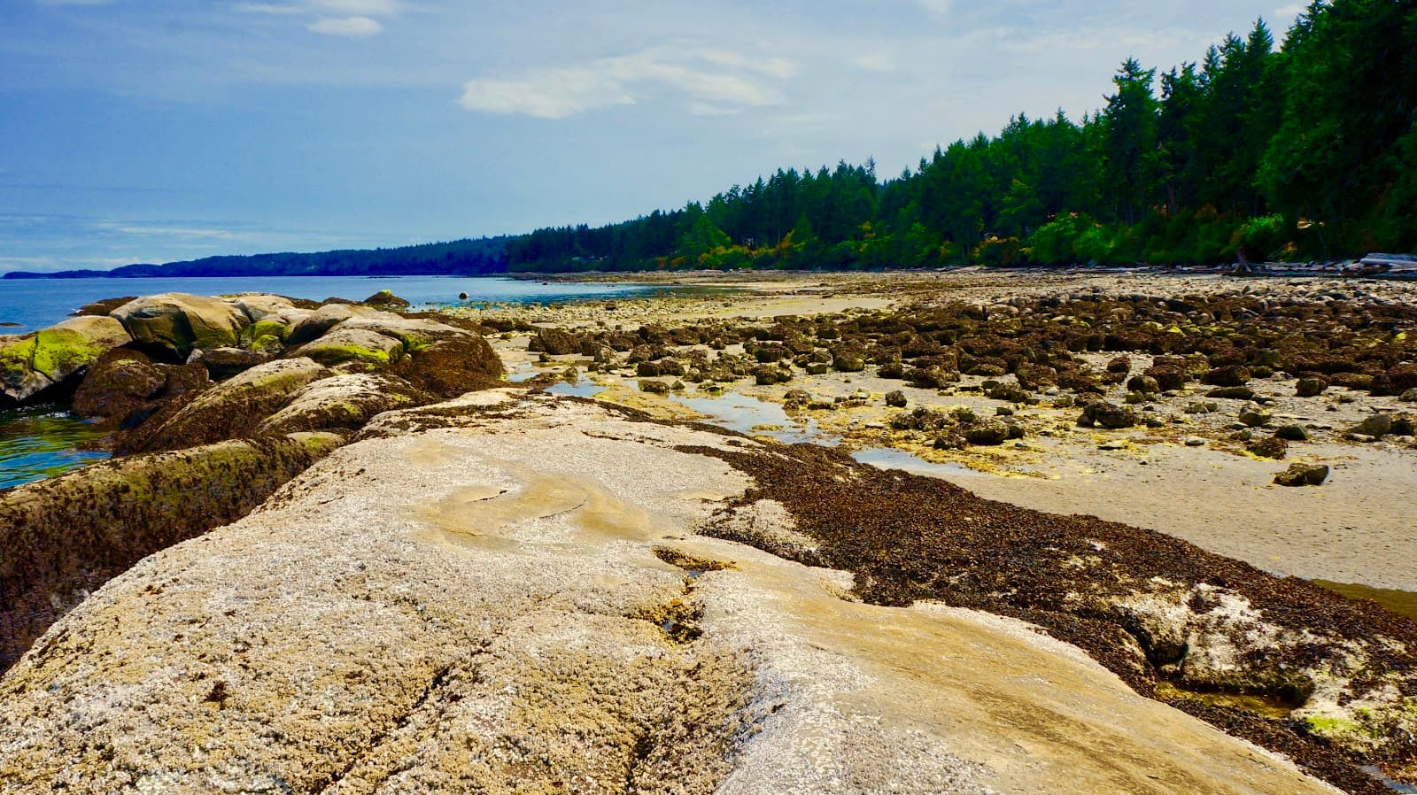 Gabriola Island - Image 1