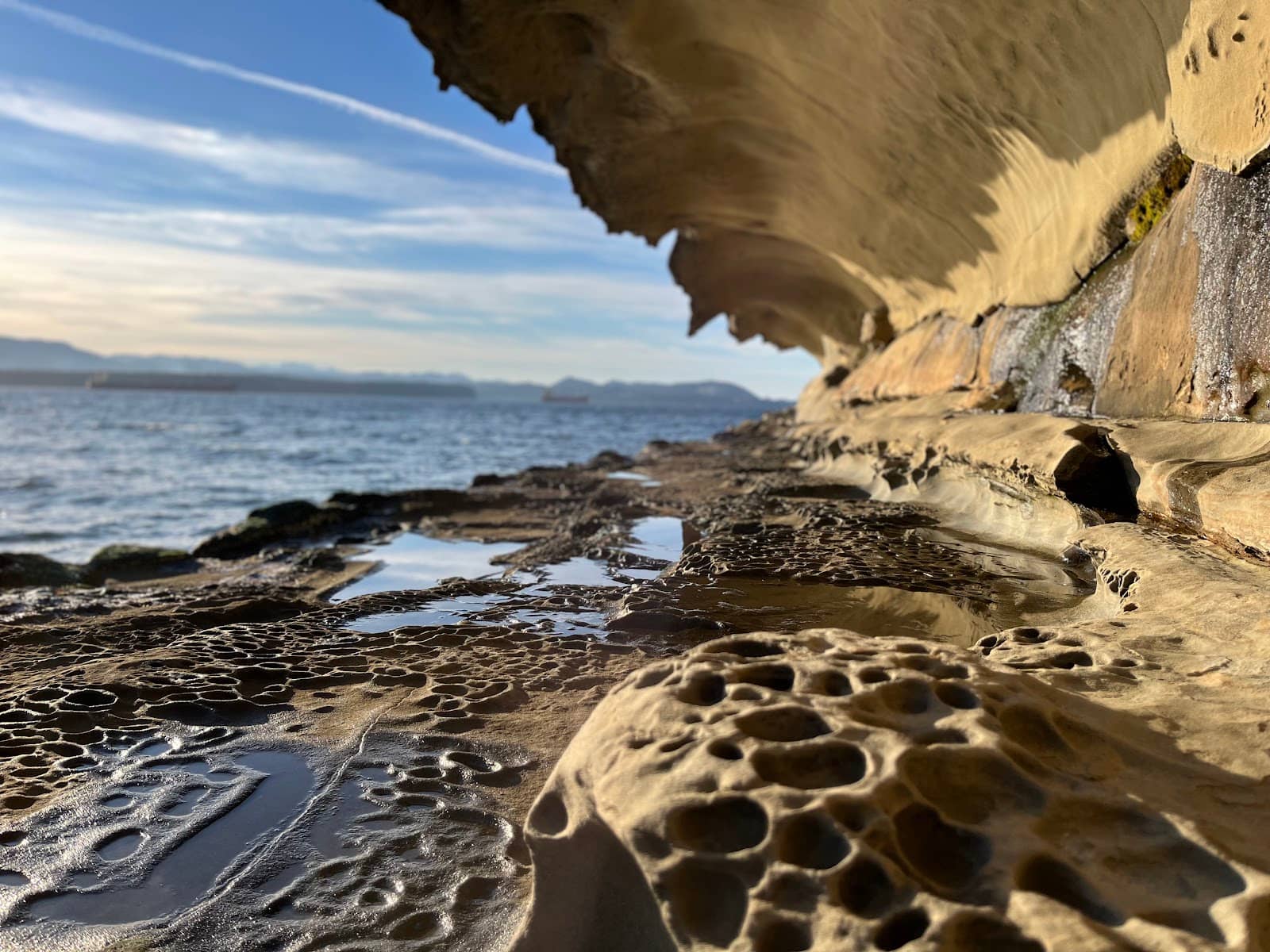 Vertical photo