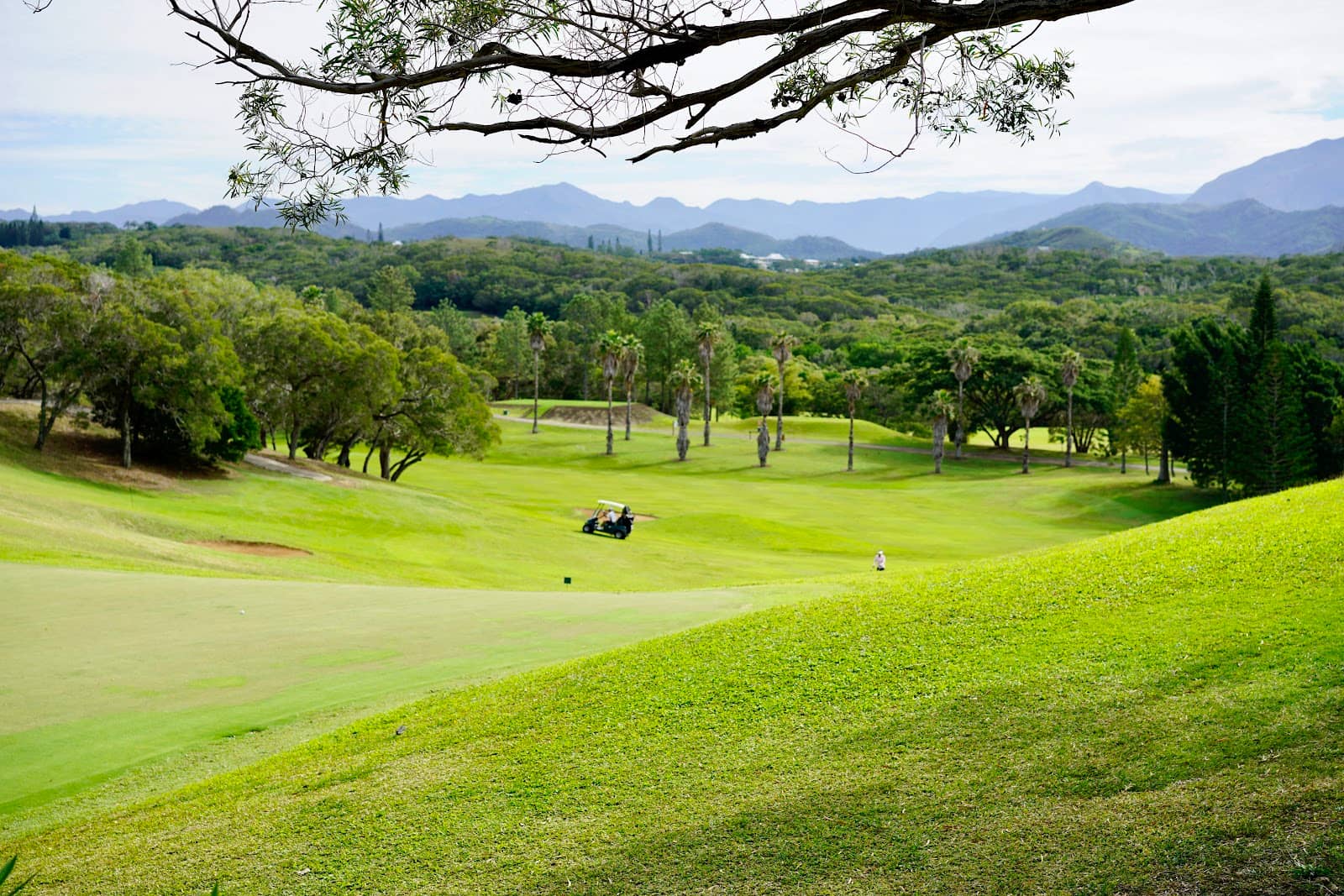 Abundant Wildlife Sightings