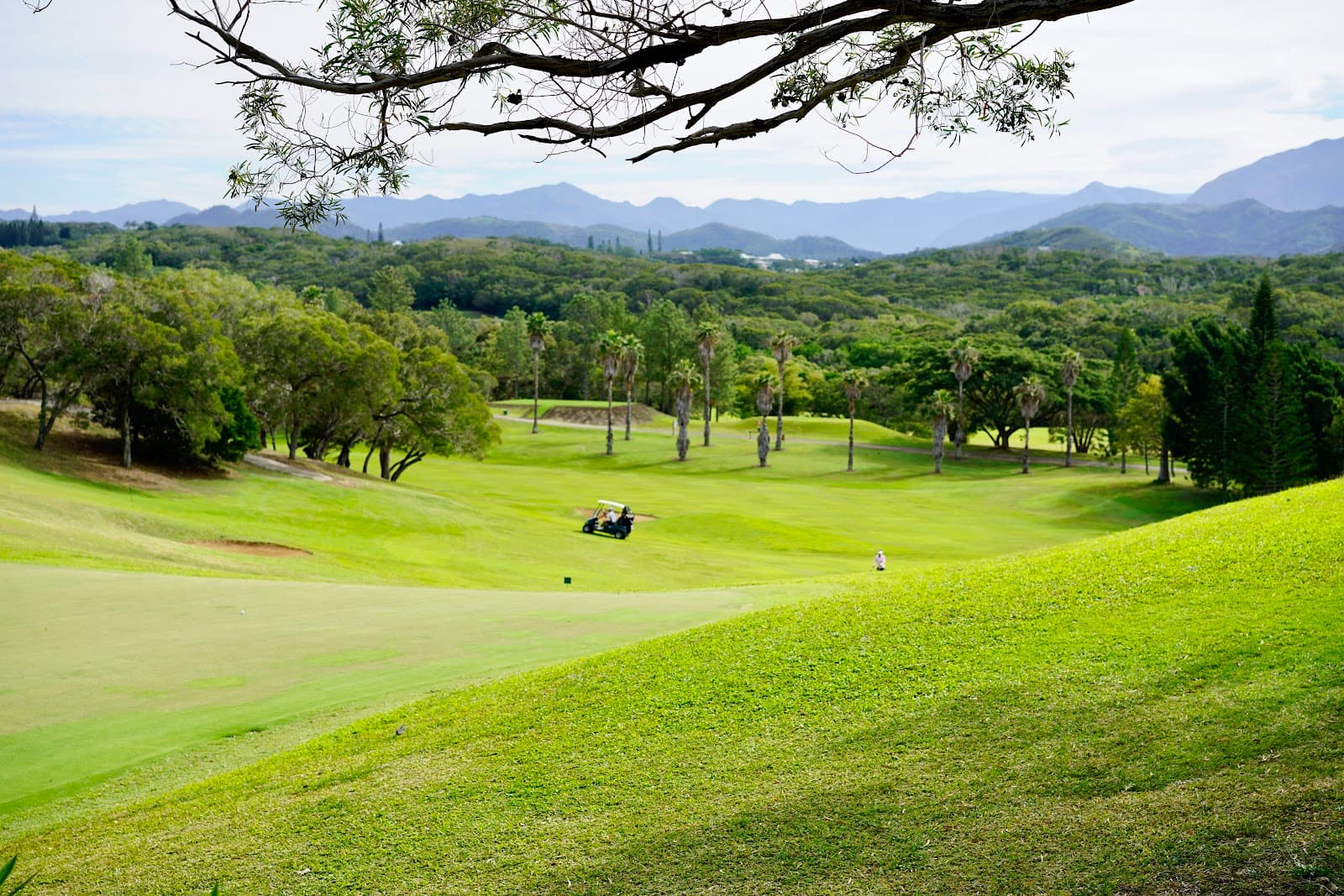 Tina Golf Course - Image 1