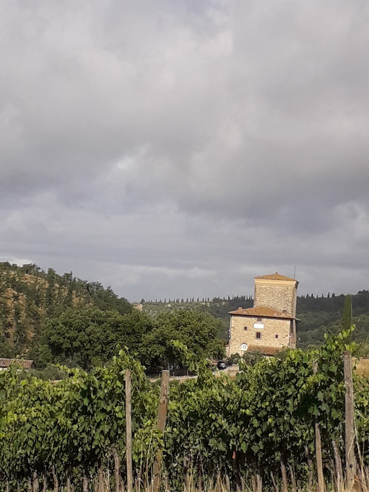 Montagnola Senese - Image 1