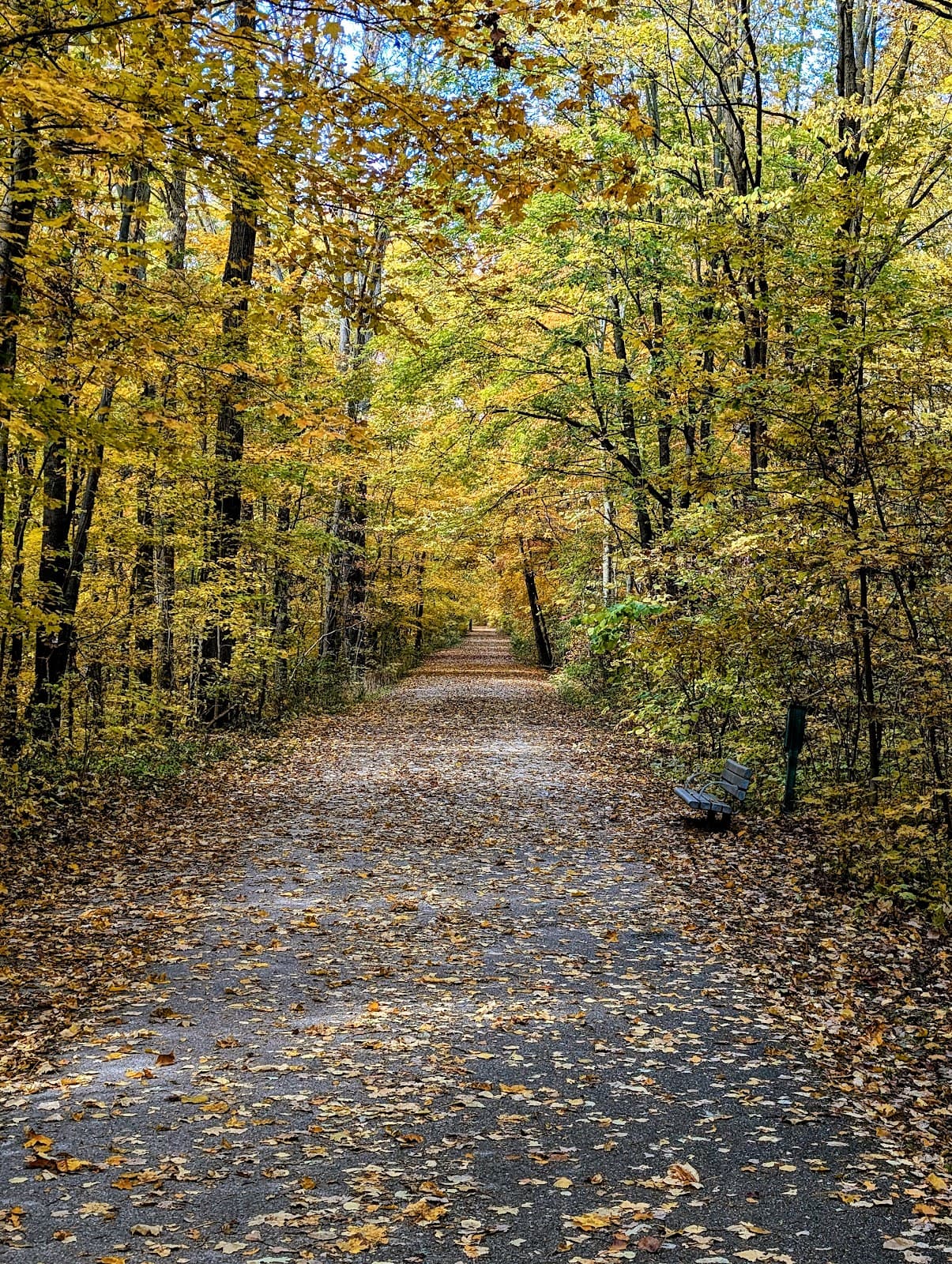 Kal-Haven Trail State Park (Kalamazoo Trailhead) - Image 1