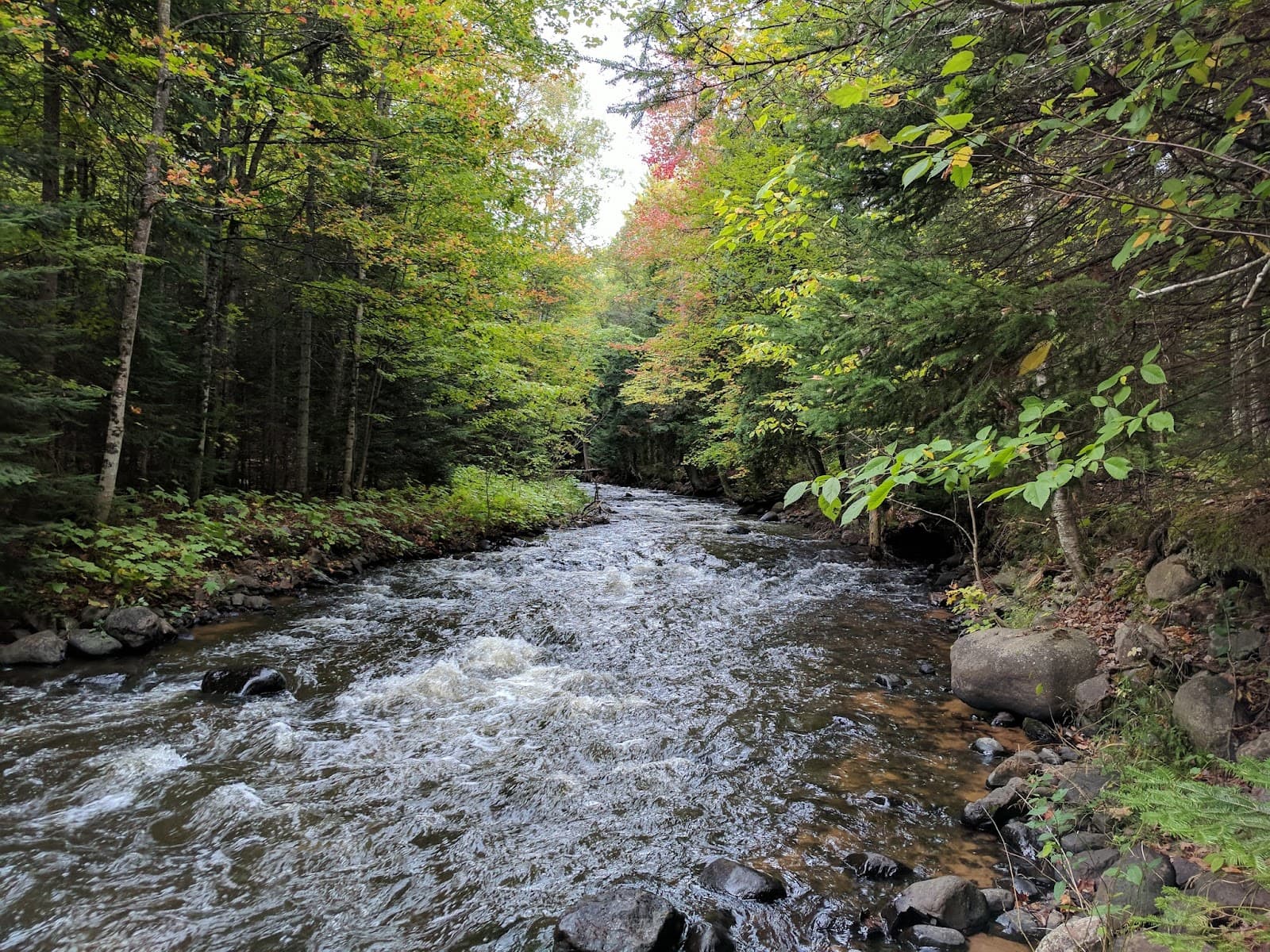 Noquemanon North Trails Marquette MI - Image 1