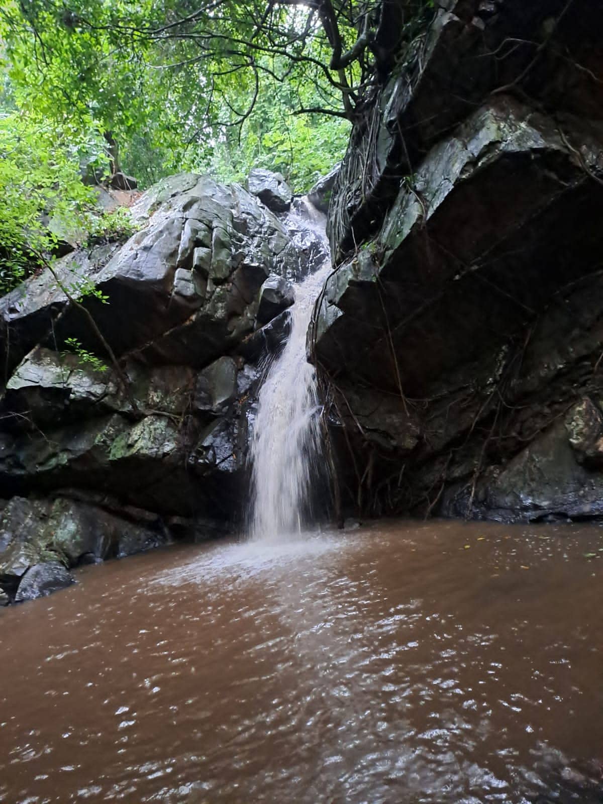 Surrounding Hills and Nature