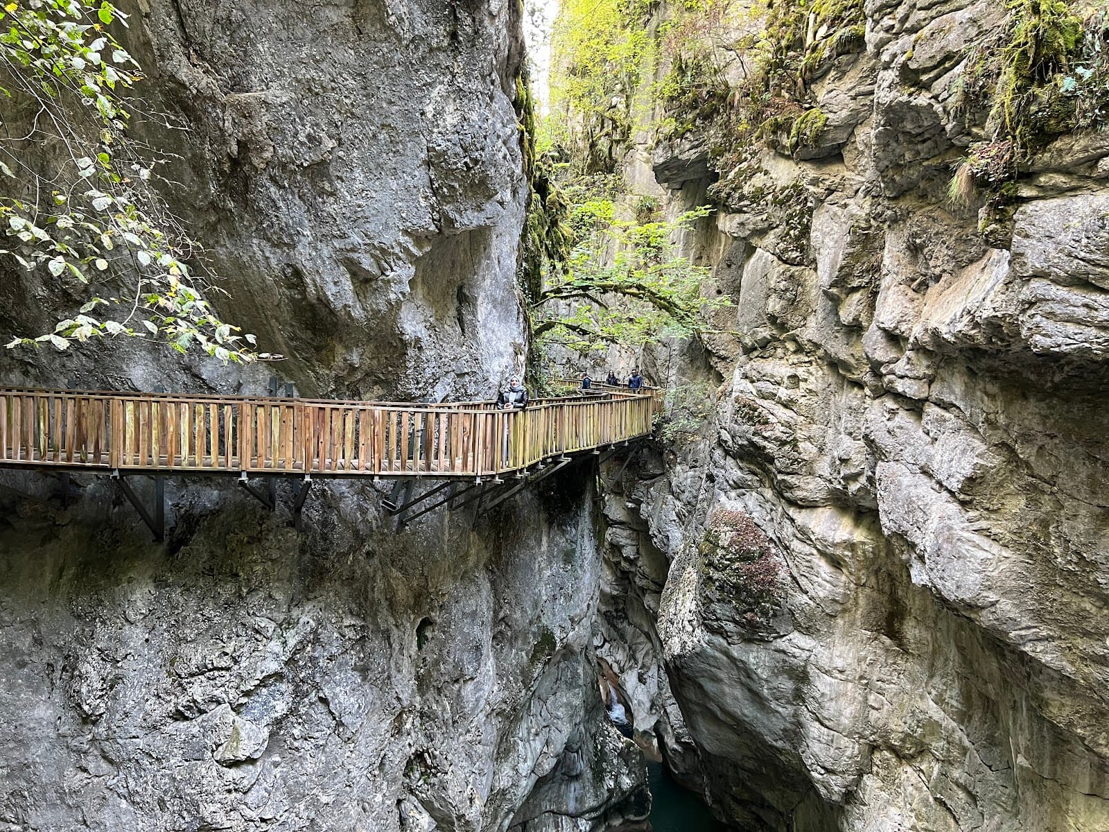 Küre Mountains National Park - Image 1