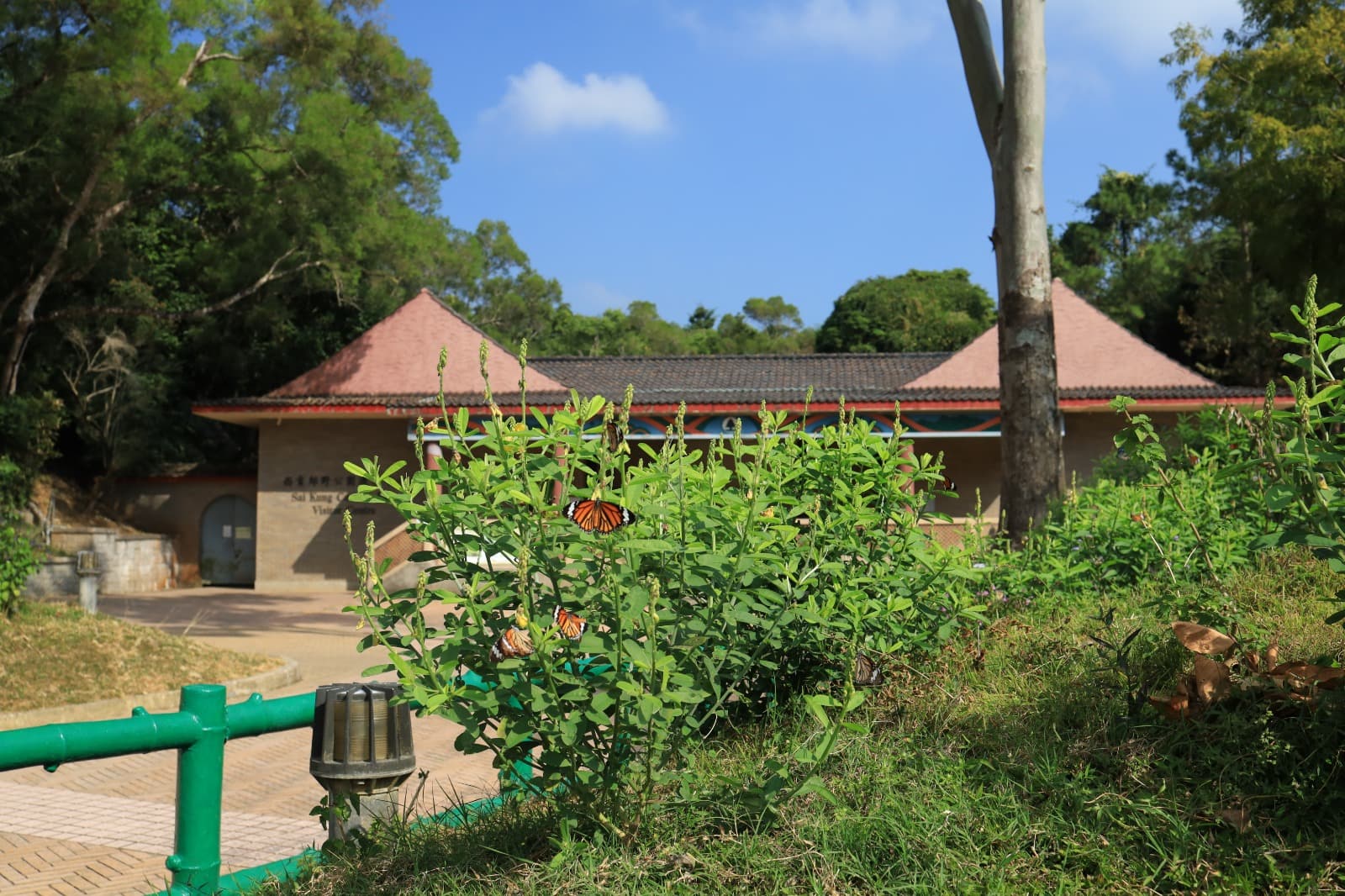 Pak Tam Chung Hong Kong - Image 1