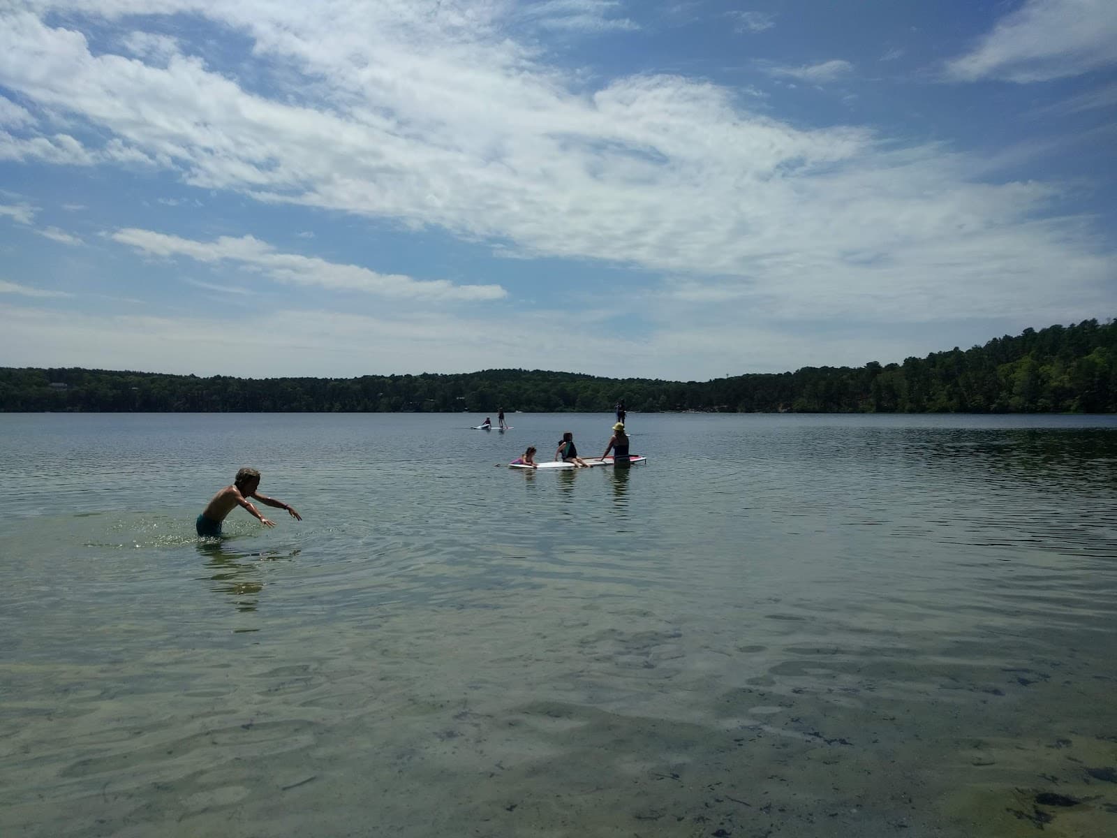 Gull Pond - Image 1