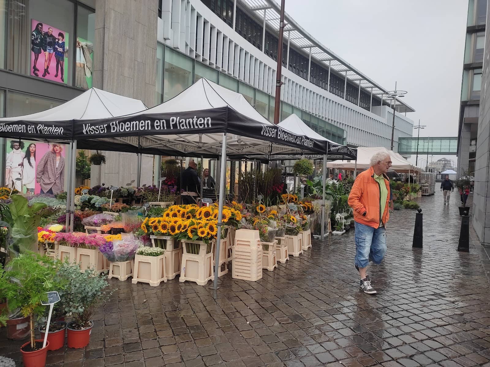 Local Delicacies & Shopping