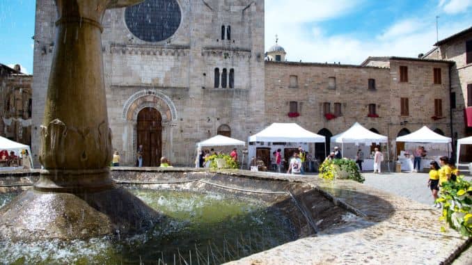 Carapace Winery (Castelbuono)