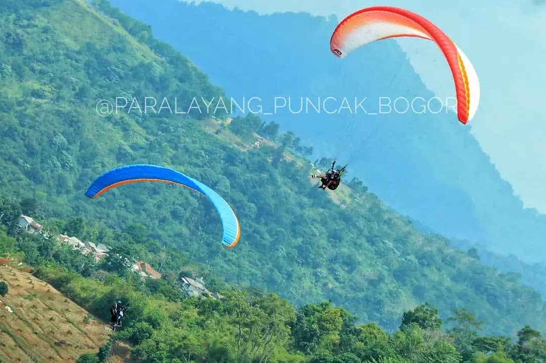 Professional Pilot Guidance