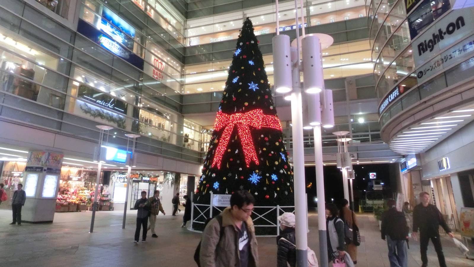 Vertical photo