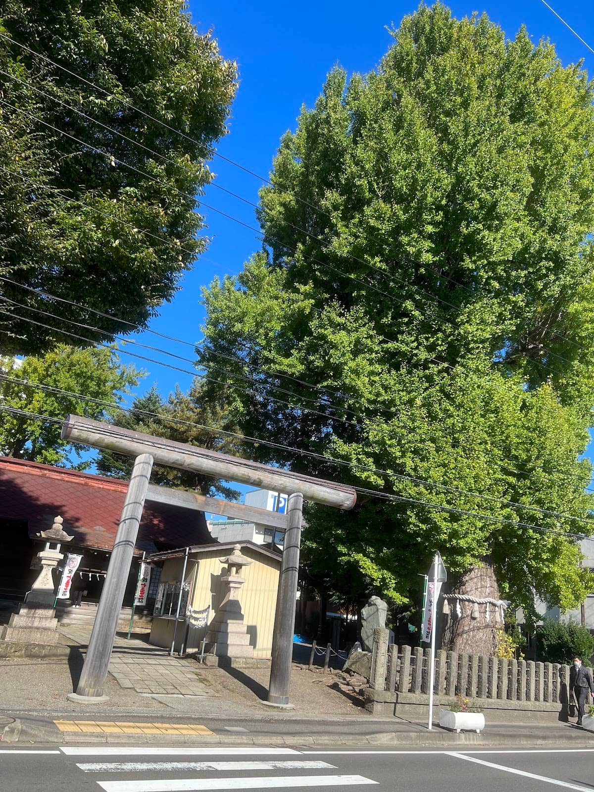 Vertical photo