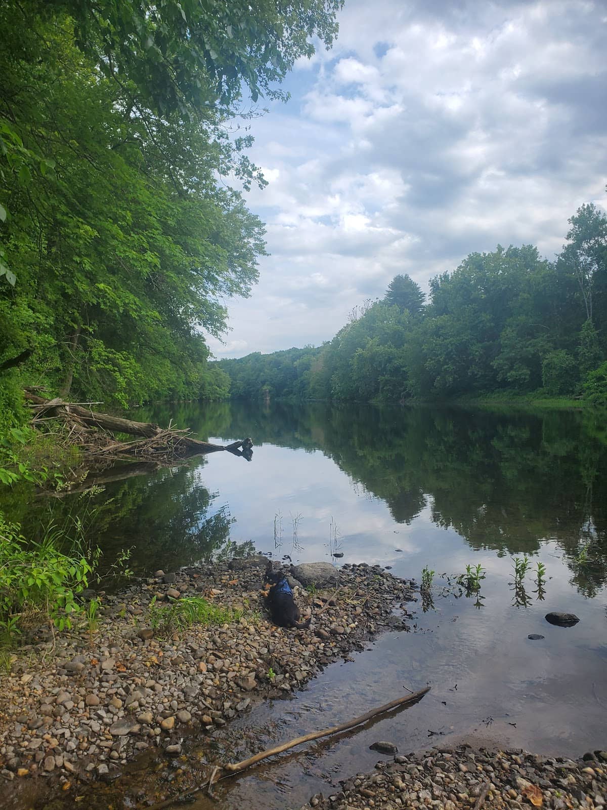 Picnic & Gathering Spots