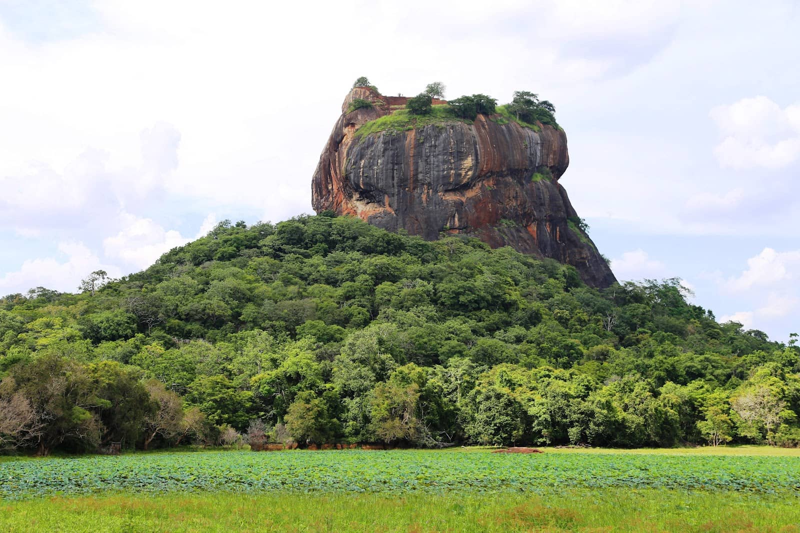 Pidurangala Rock Sunrise