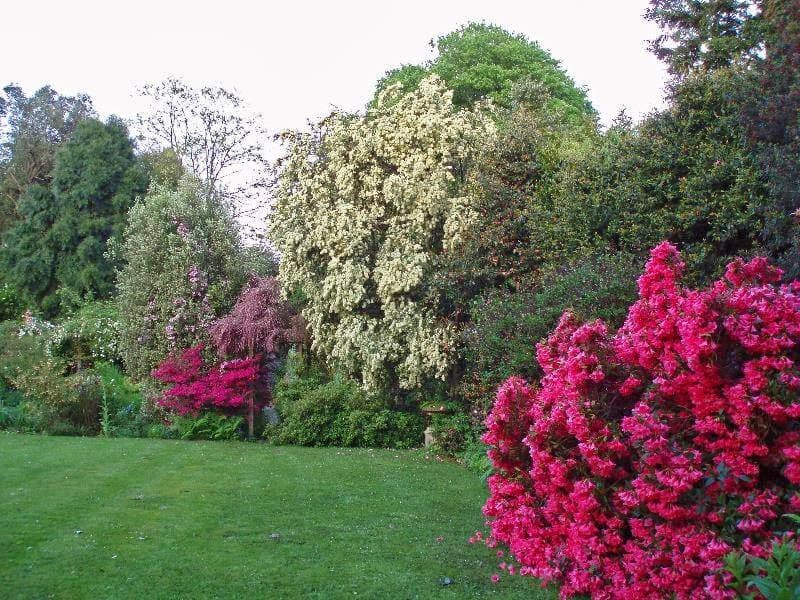 Moyclare Garden - Image 1