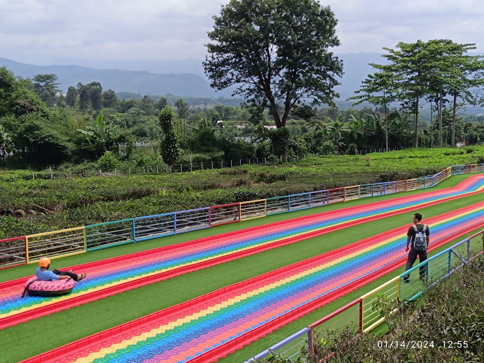 Goalpara Tea Plantation - Image 1