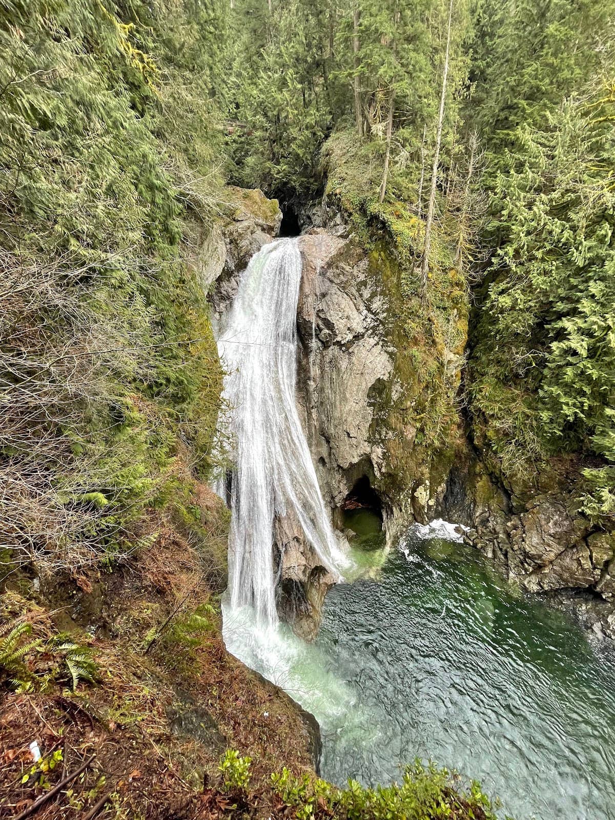 Canyon Rim Trail