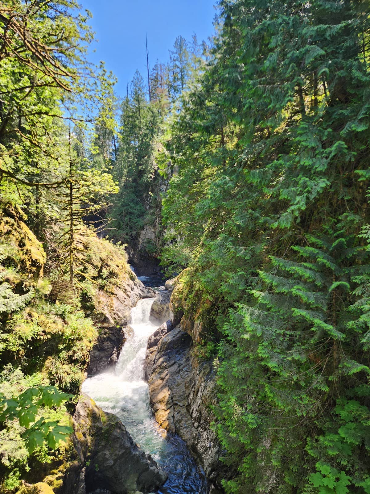 Vertical photo