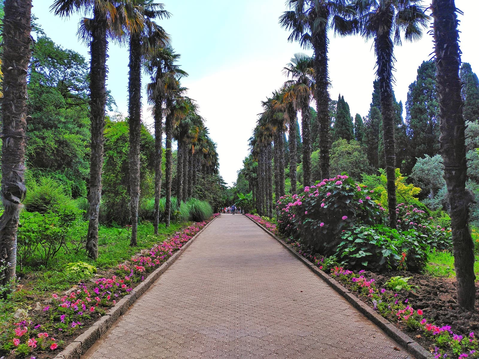Nikitsky Botanical Garden - Image 1