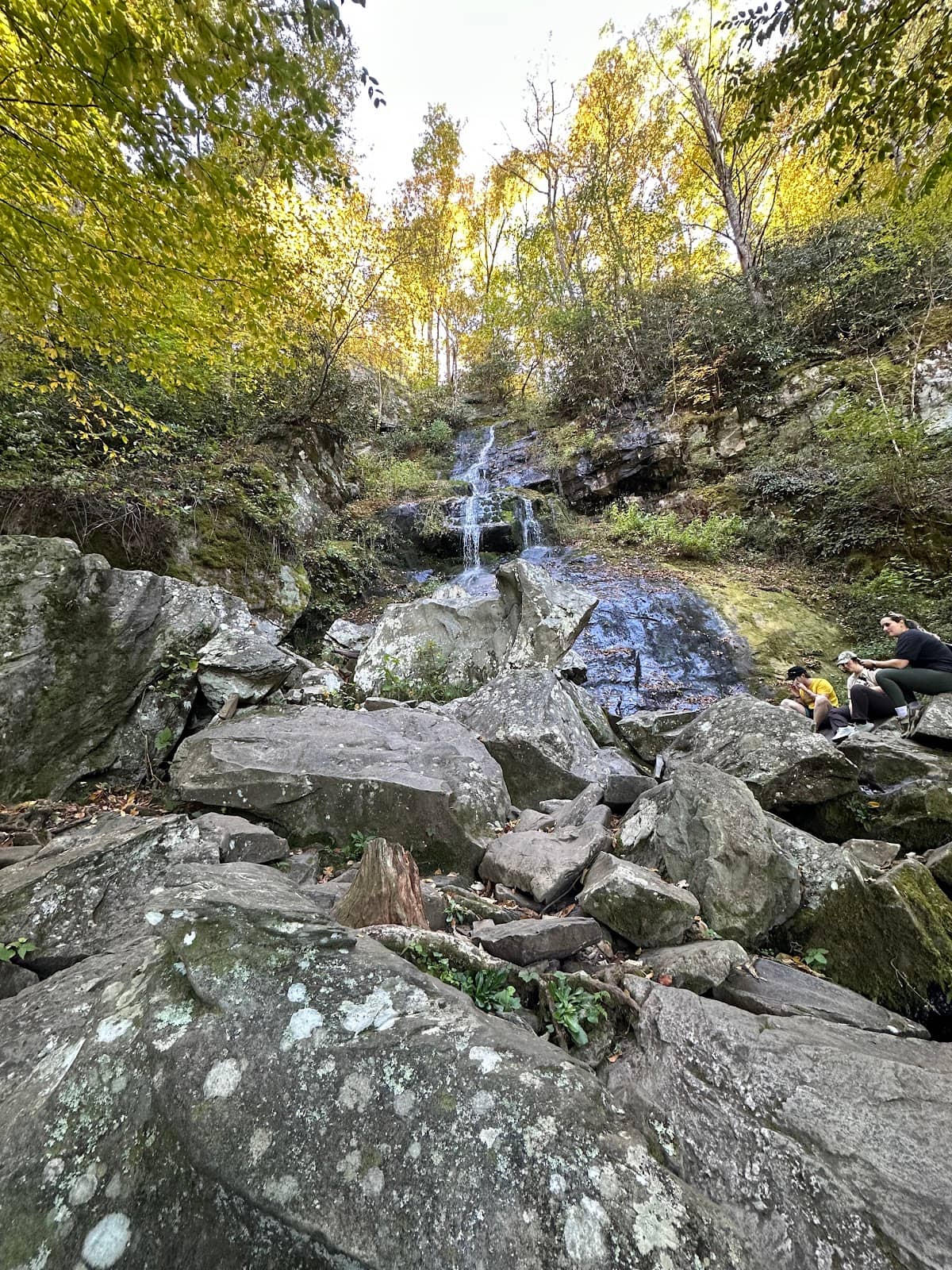 Vertical photo