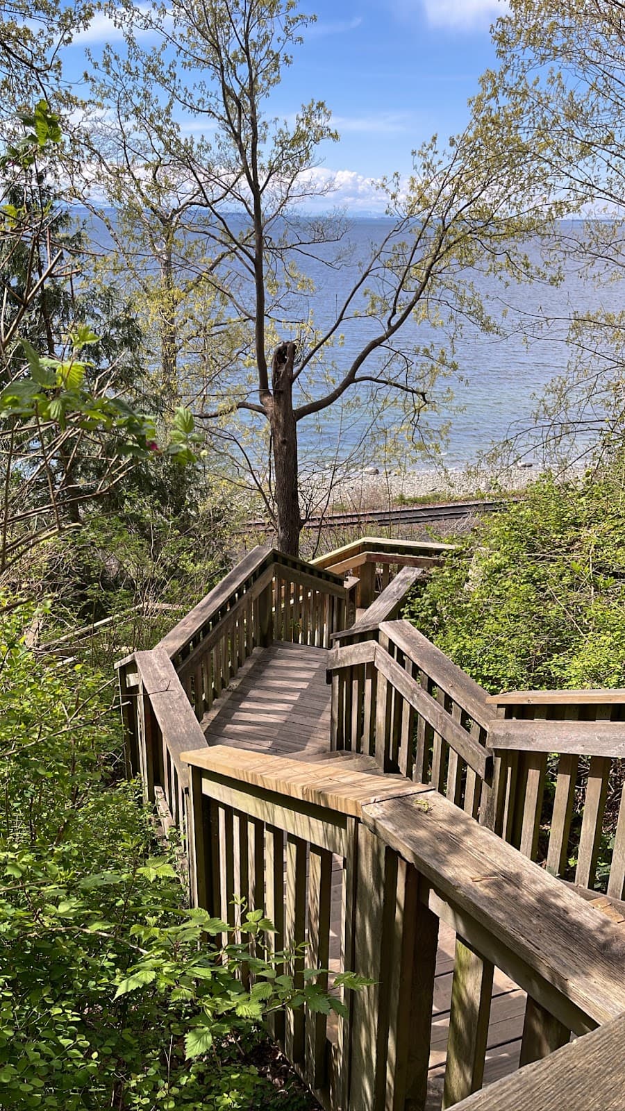 1001 Steps - Image 1