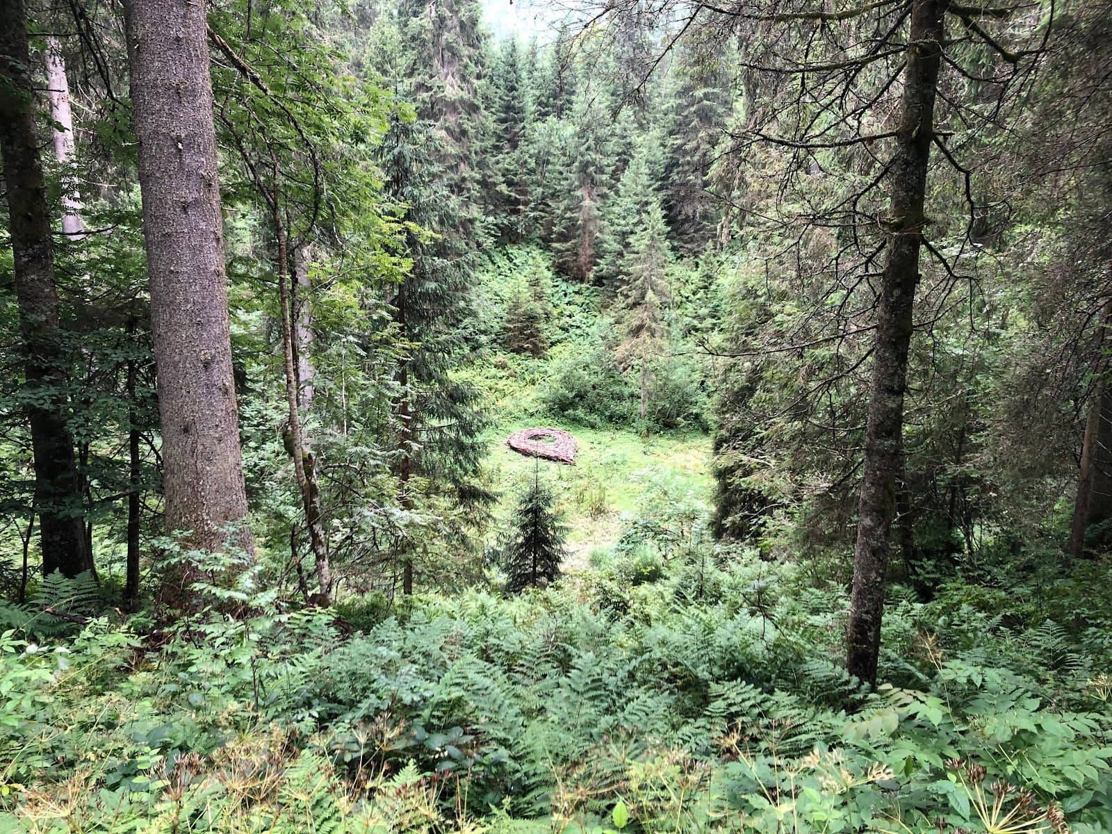 Gerschnialp - Image 1