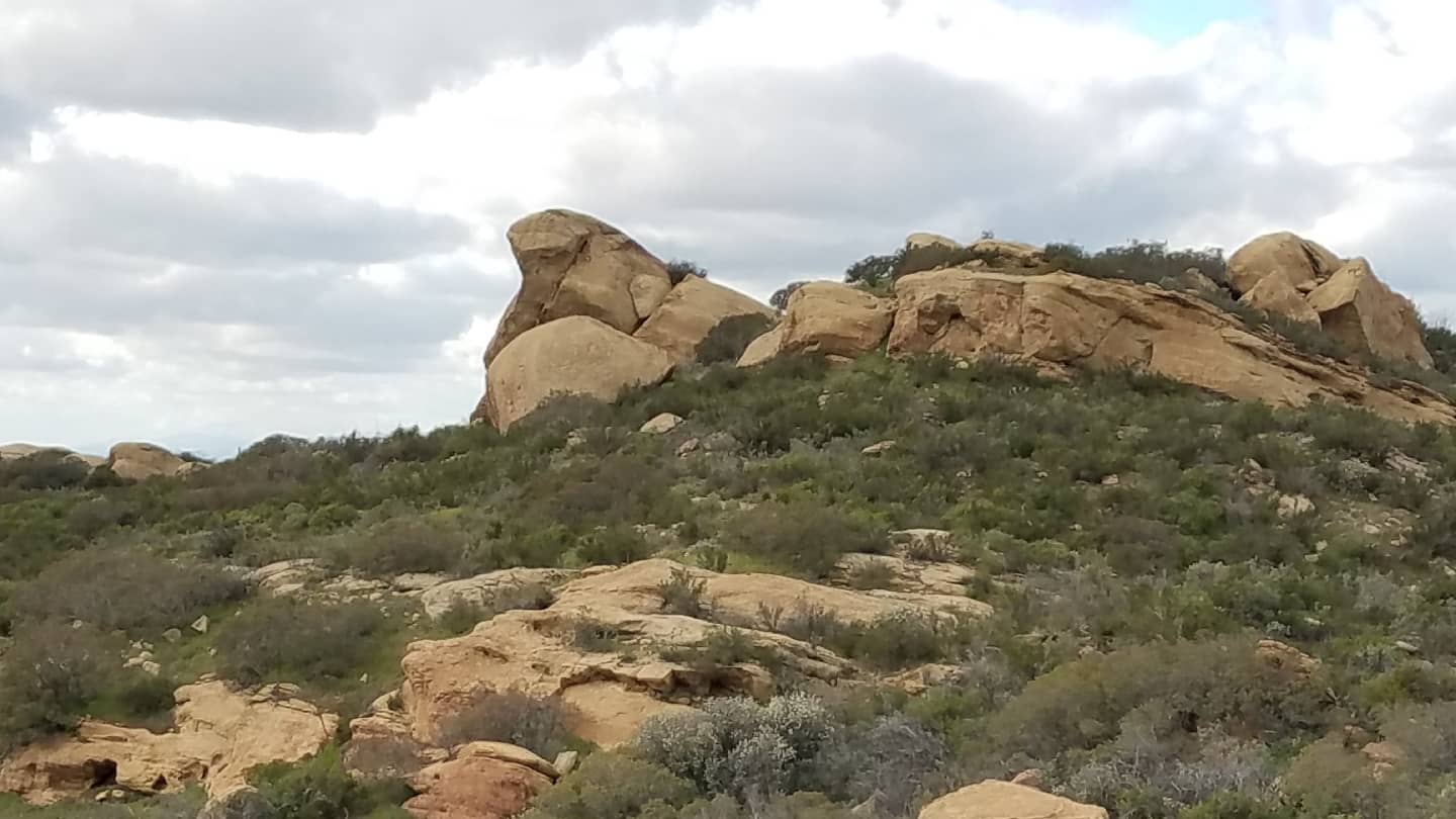 Coastal Sage Scrub Ecosystem