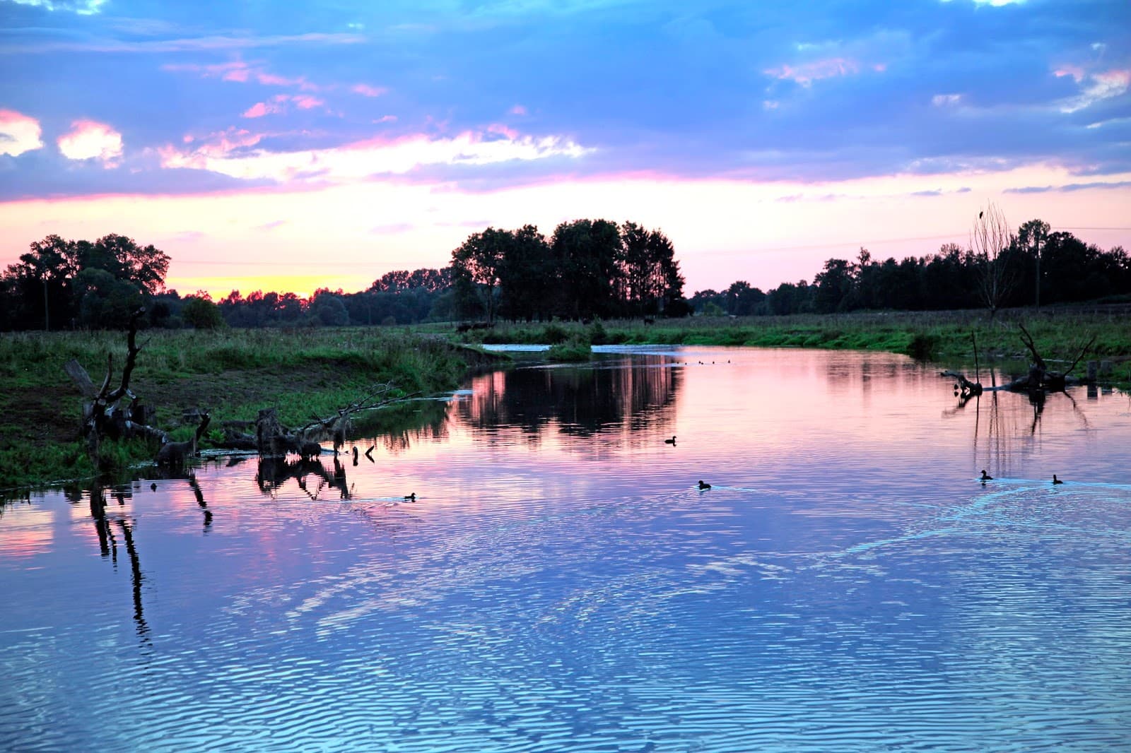 Steveraue Olfen - Image 1