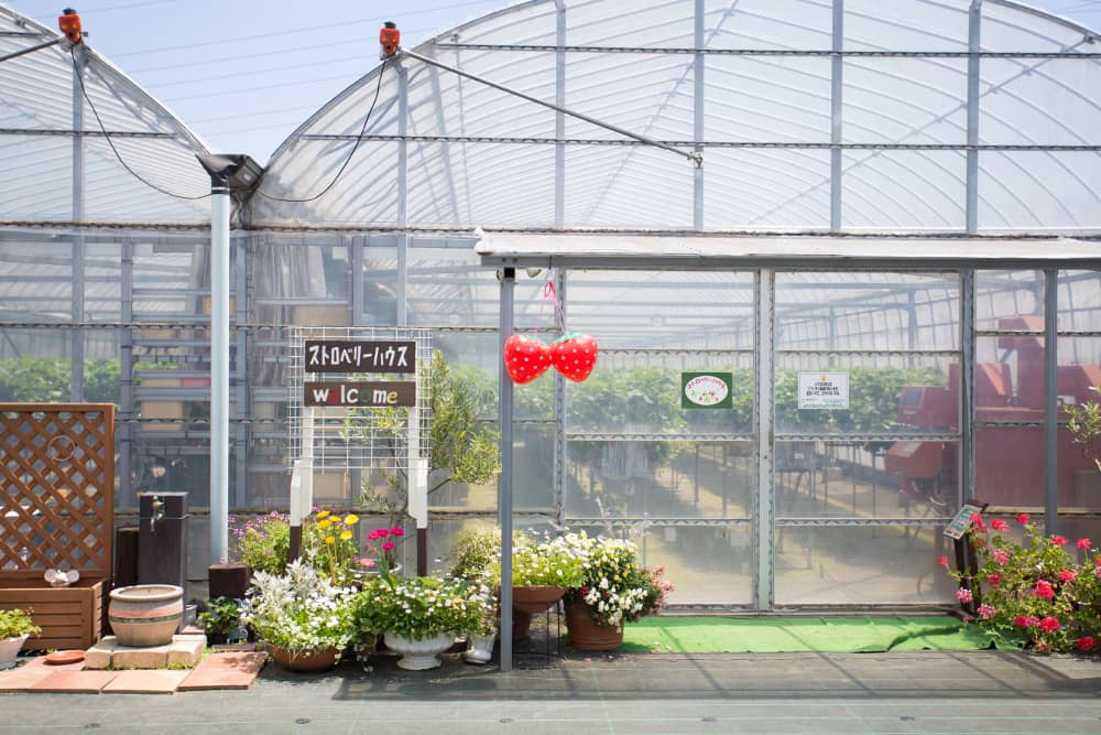 Kid-Friendly Play Area