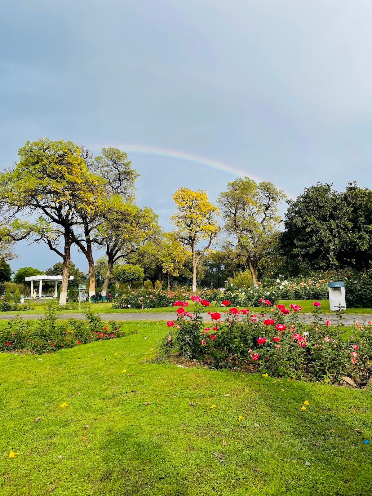 Rose Garden Sector 16 Chandigarh - Image 1