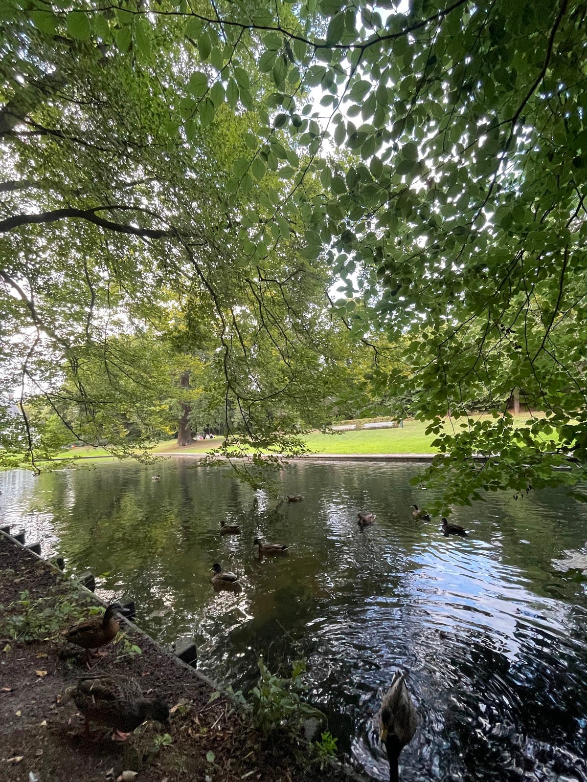 Park Randenbroek - Image 1