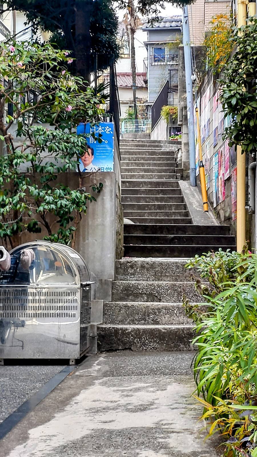 Vertical photo