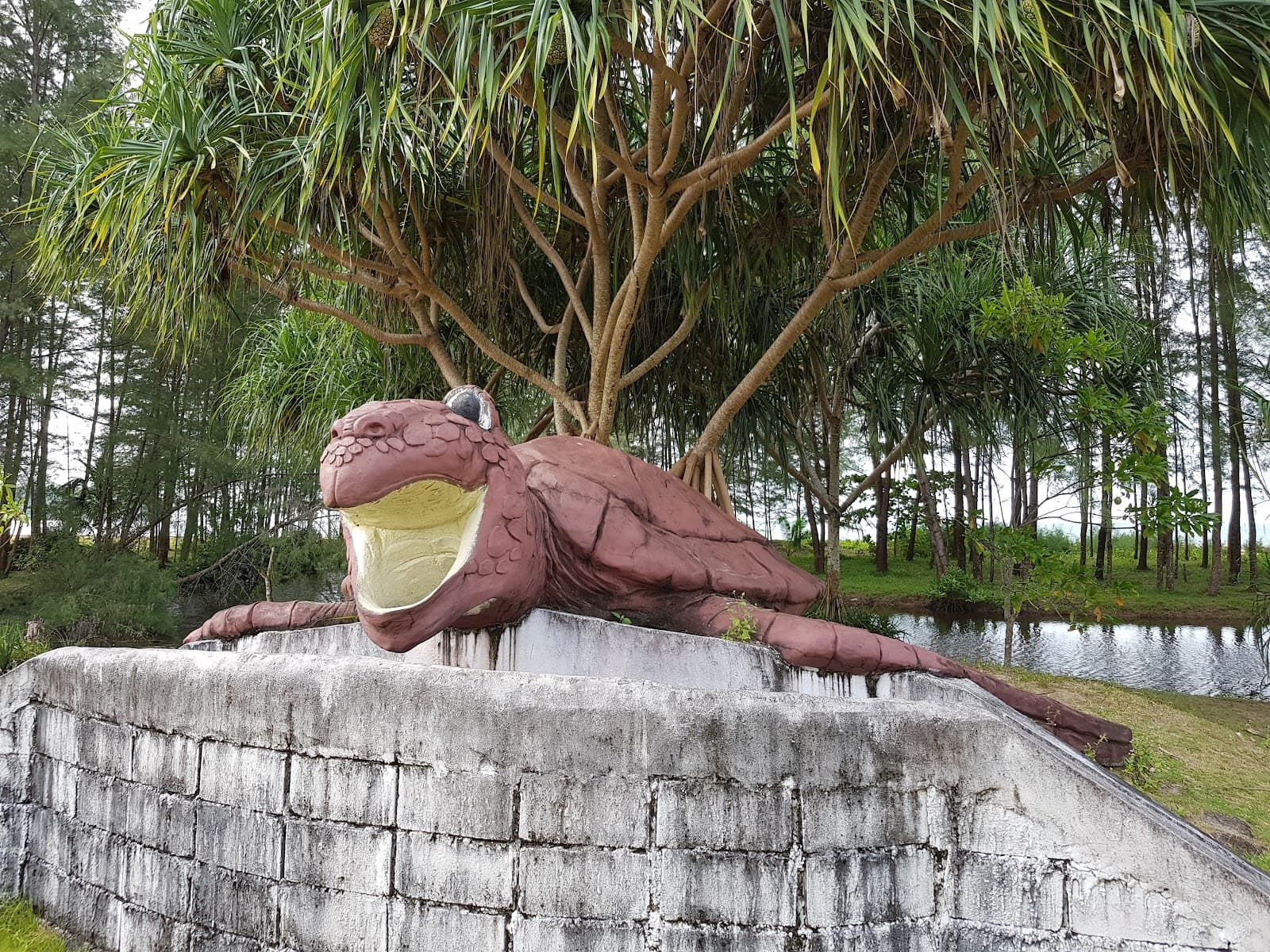 Royal Thai Navy Sea Turtle Conservation Center (Thai Mueang) - Image 1