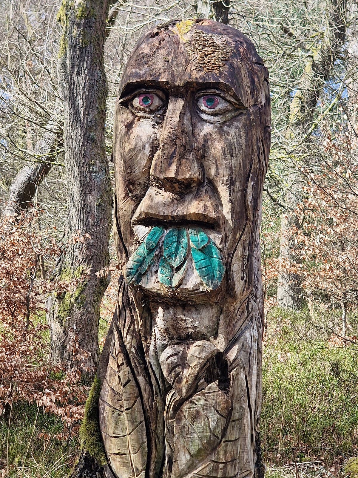 Forest Wood Wildlife Reserve - Image 1