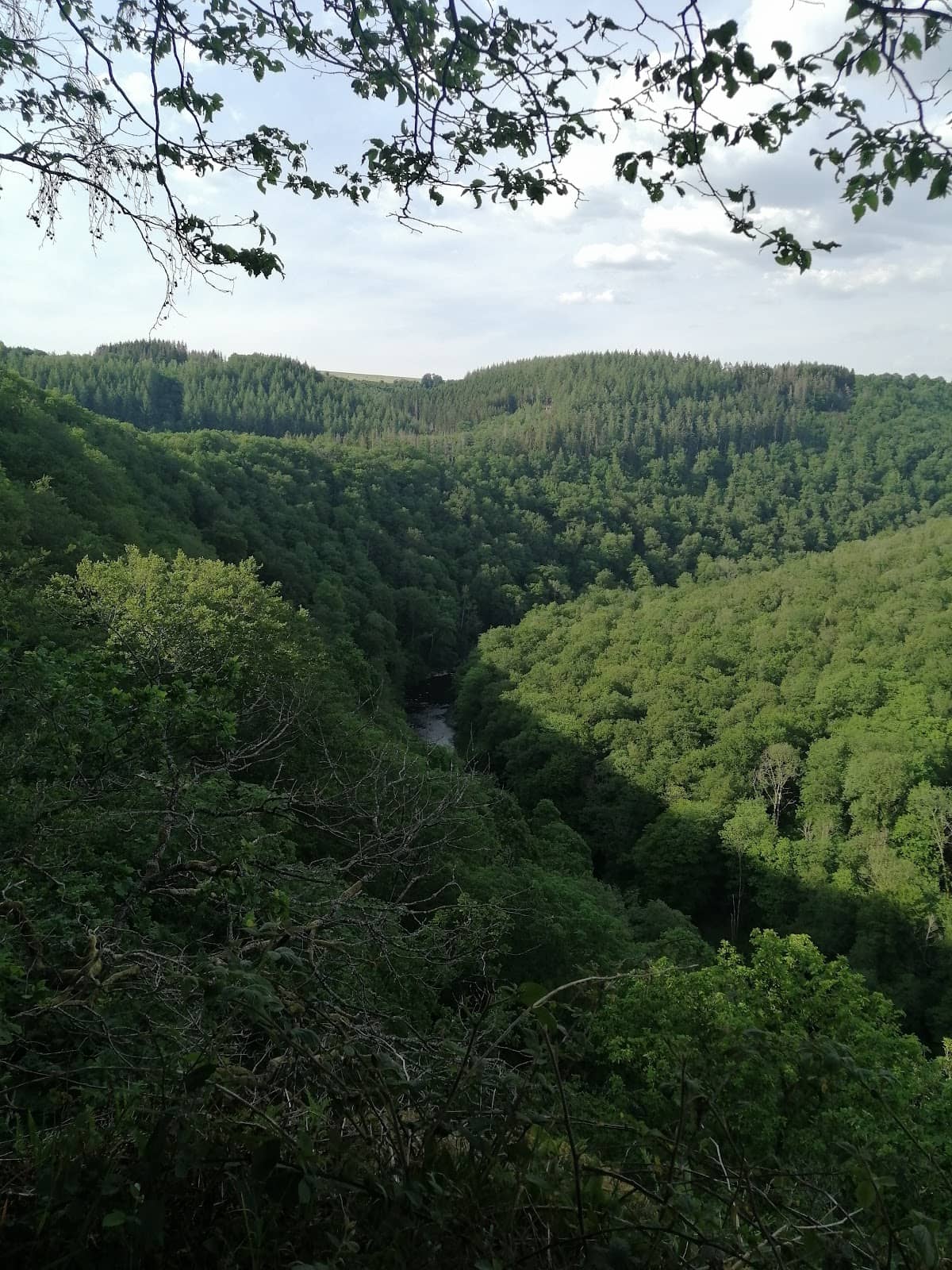 Vertical photo
