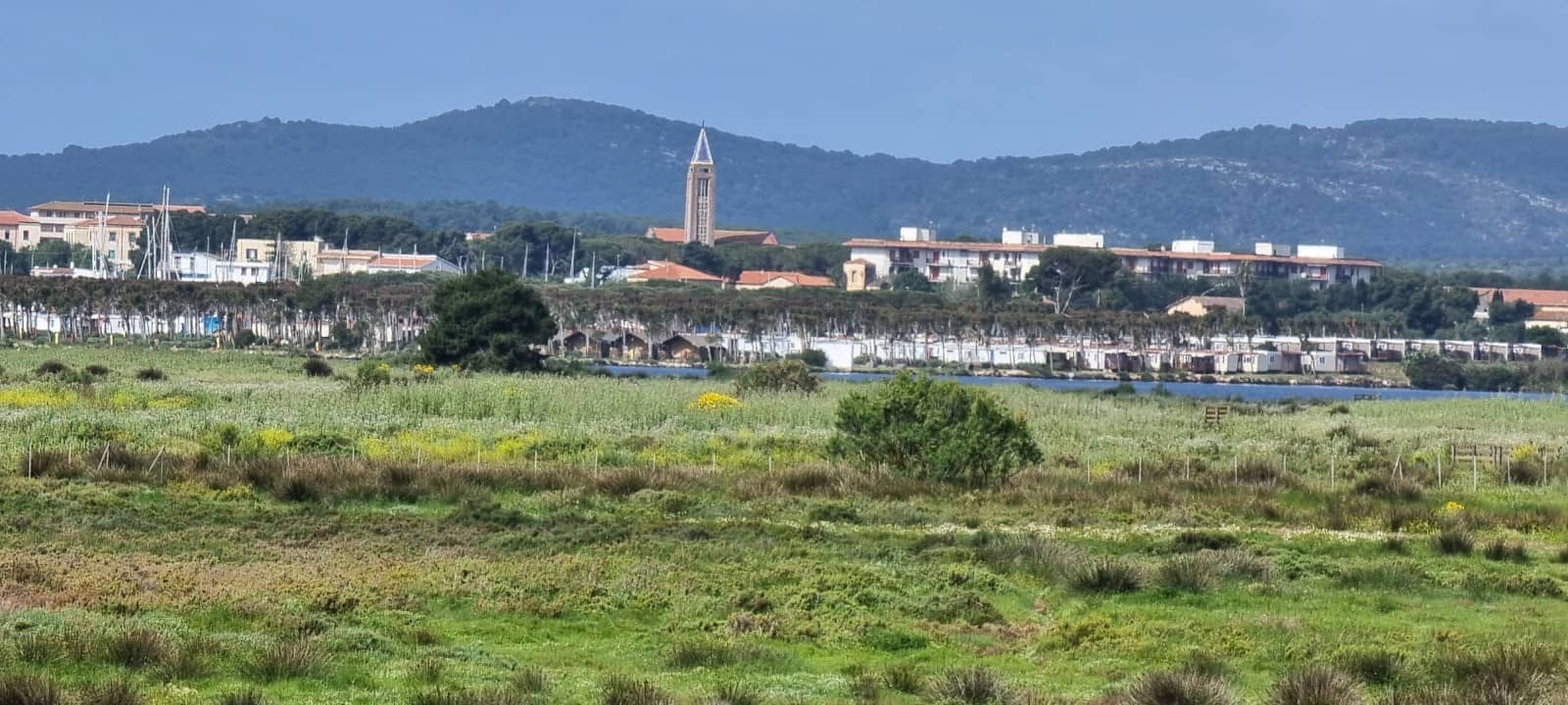 Local Festivals