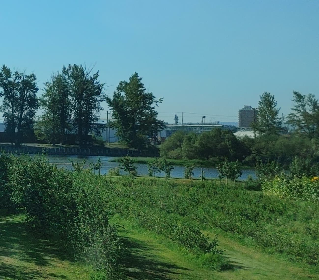 Downtown - Image 1