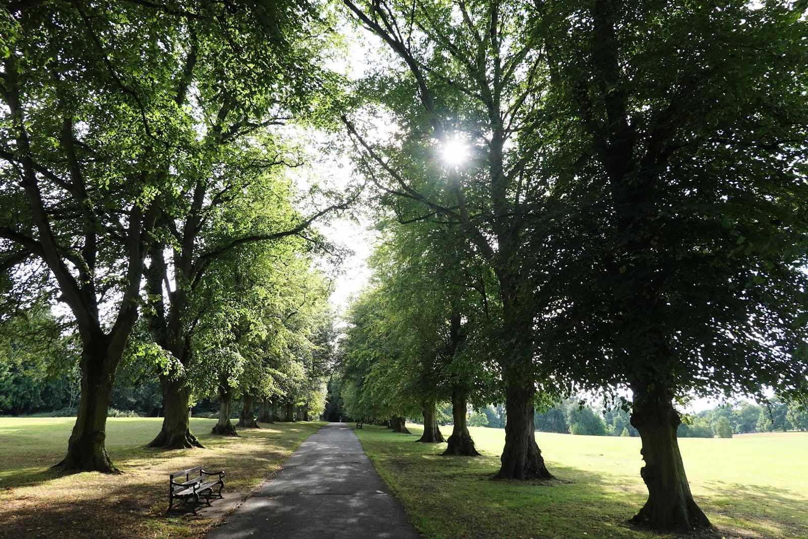 Rothamsted Park Harpenden - Image 1