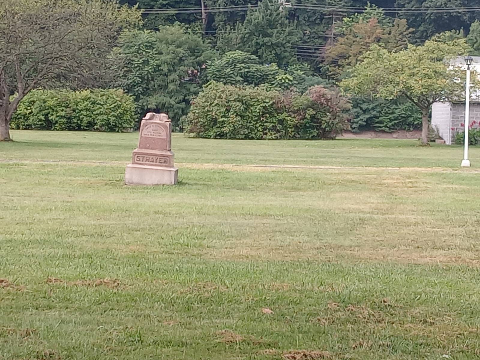 Enclosed Dog Park