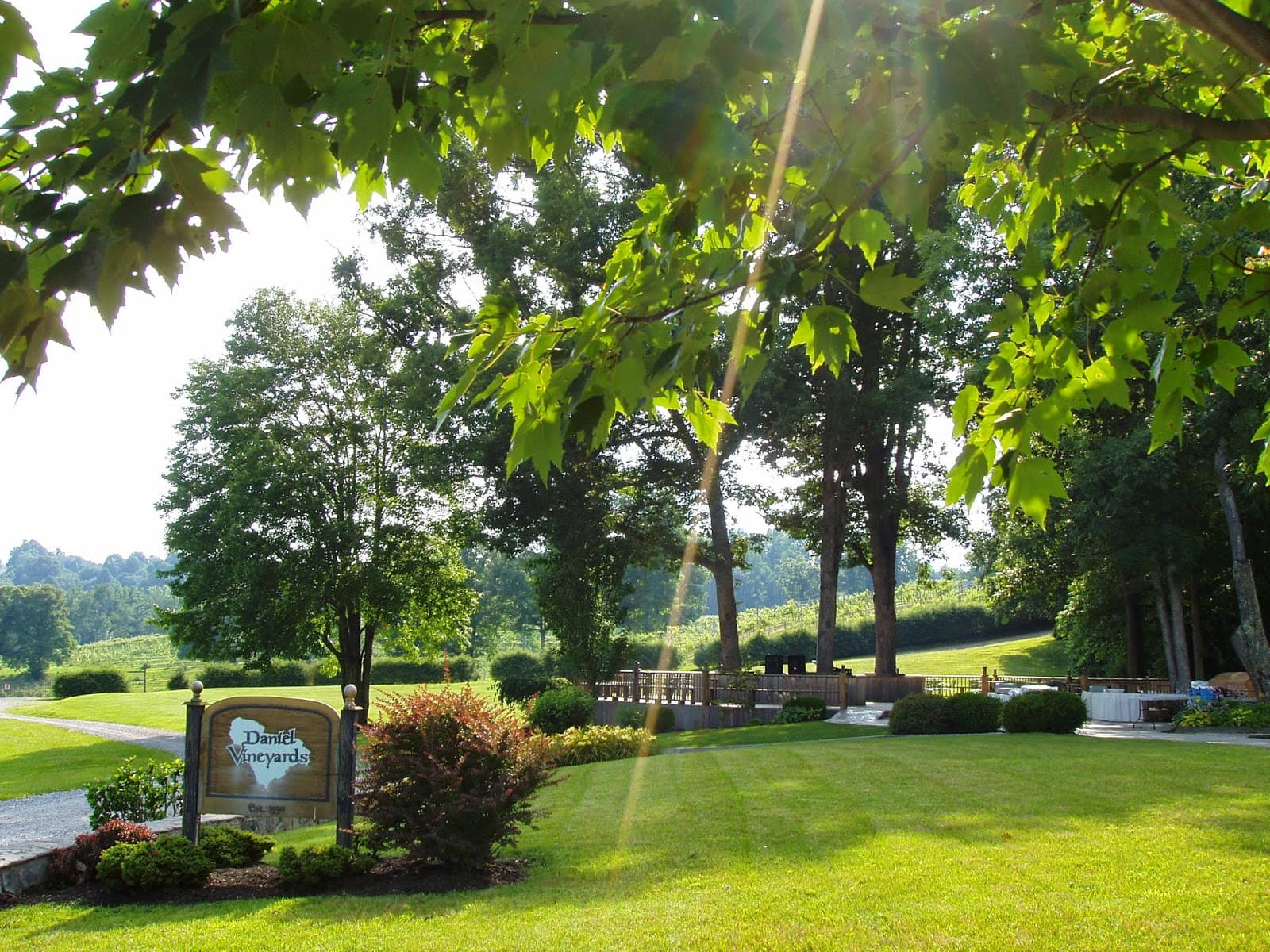 Daniel Vineyards - Image 1