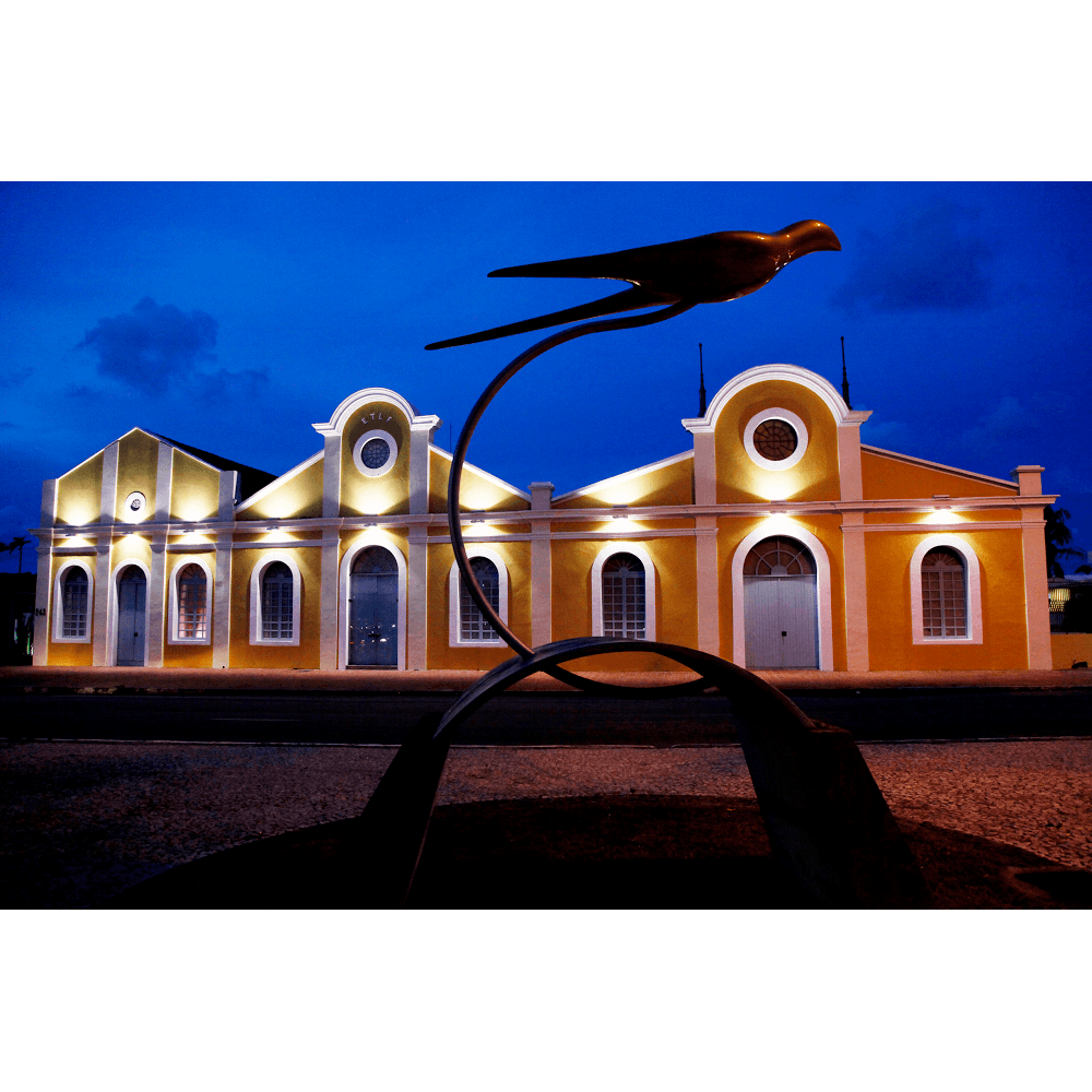 Art Gallery & Exhibitions