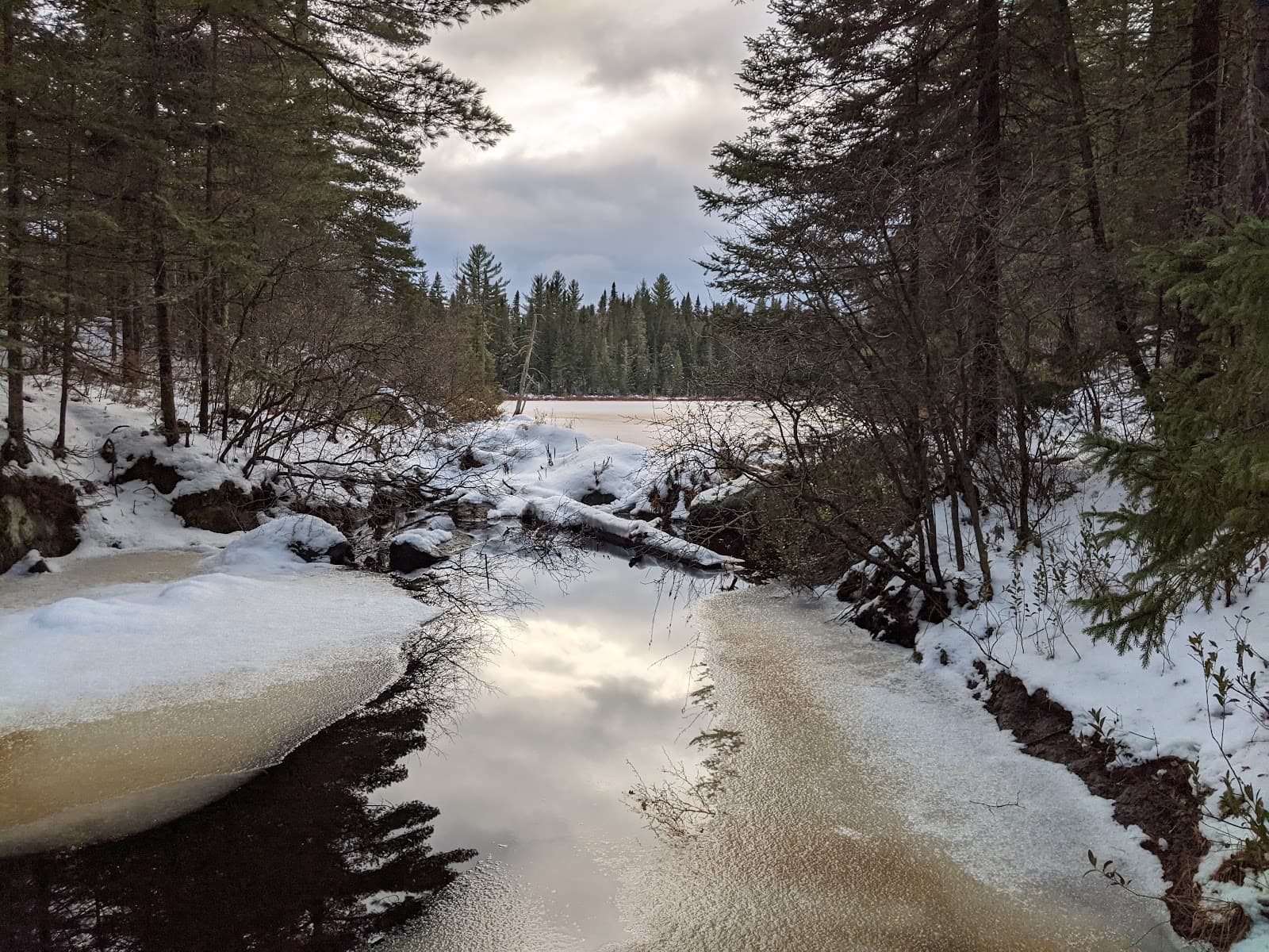Jonquière - Image 1