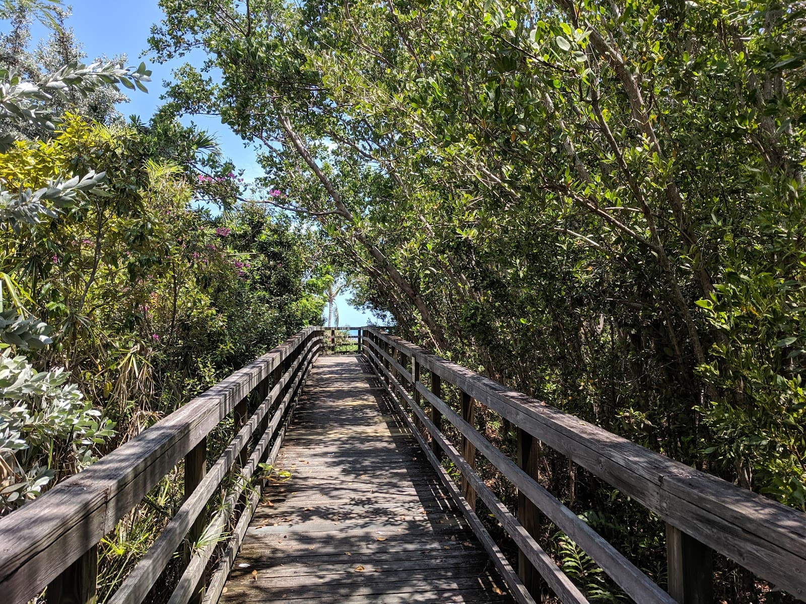 Key West Nature Preserve - Image 1