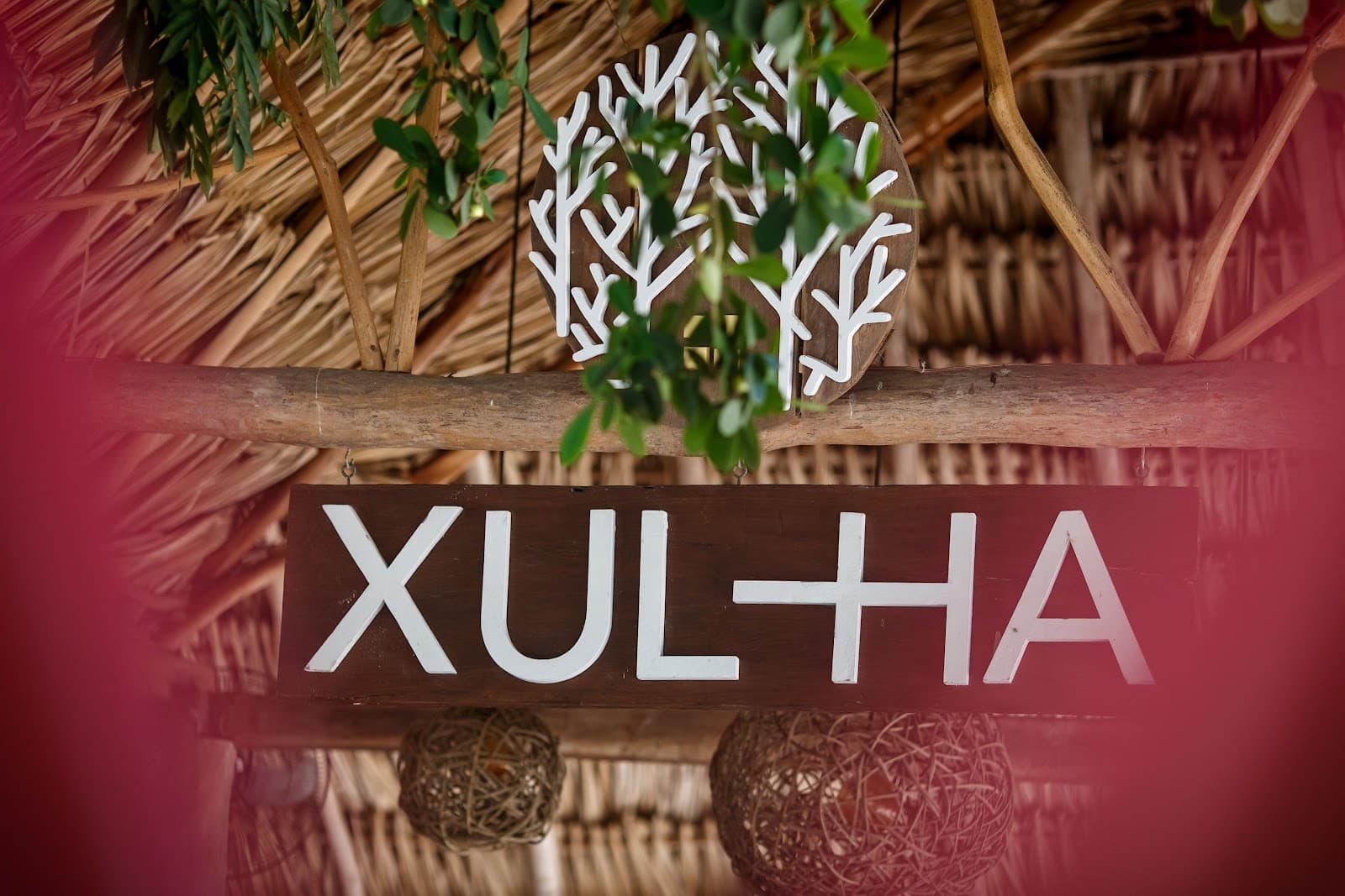 Cenote Xul-Ha, Puerto Morelos - Image 1