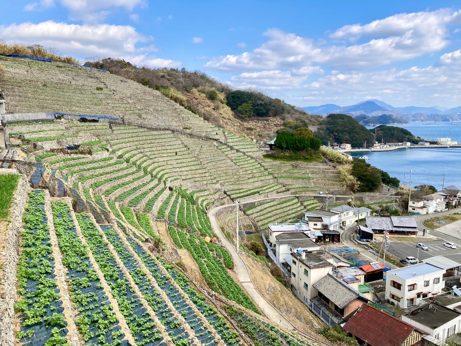 Yusumizugaura Terraced Rice Fields - Image 1