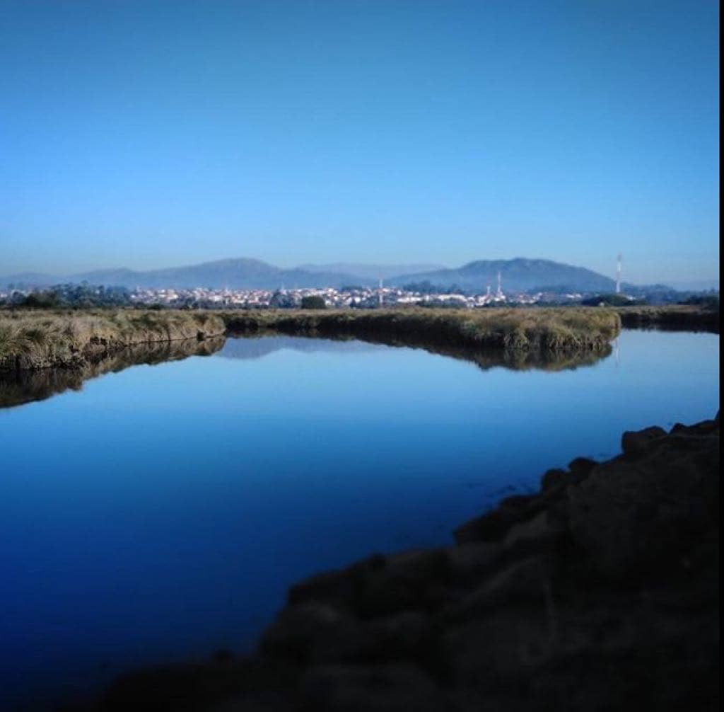 Seine River Cruise Views