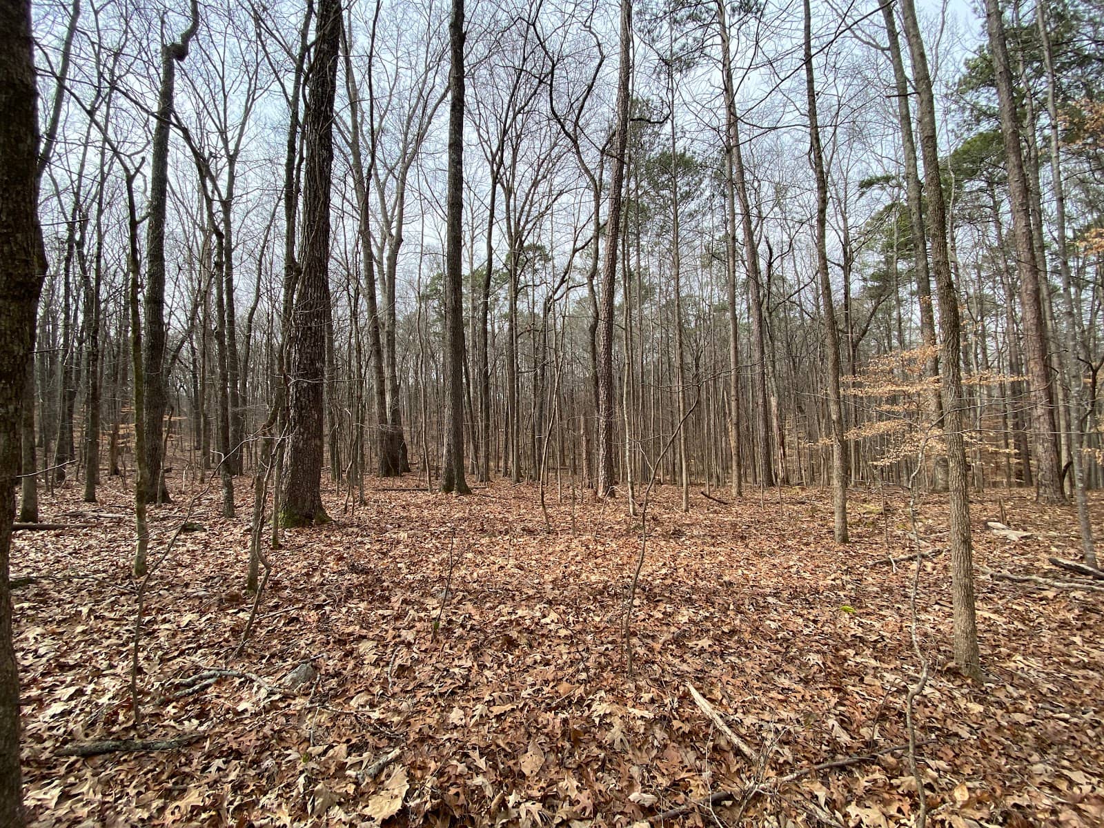 Nature Garden Trail