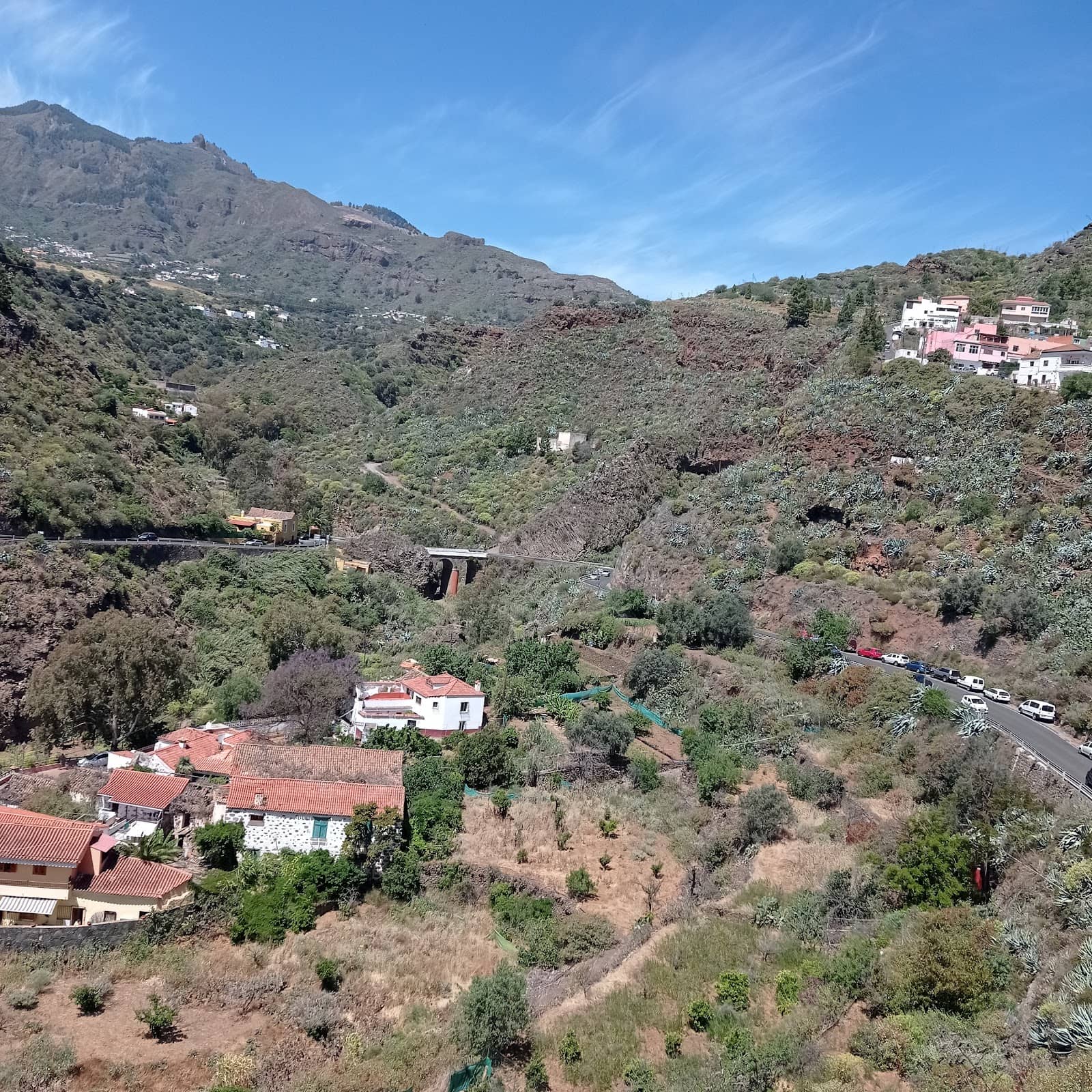 Strawberry Fair Delights
